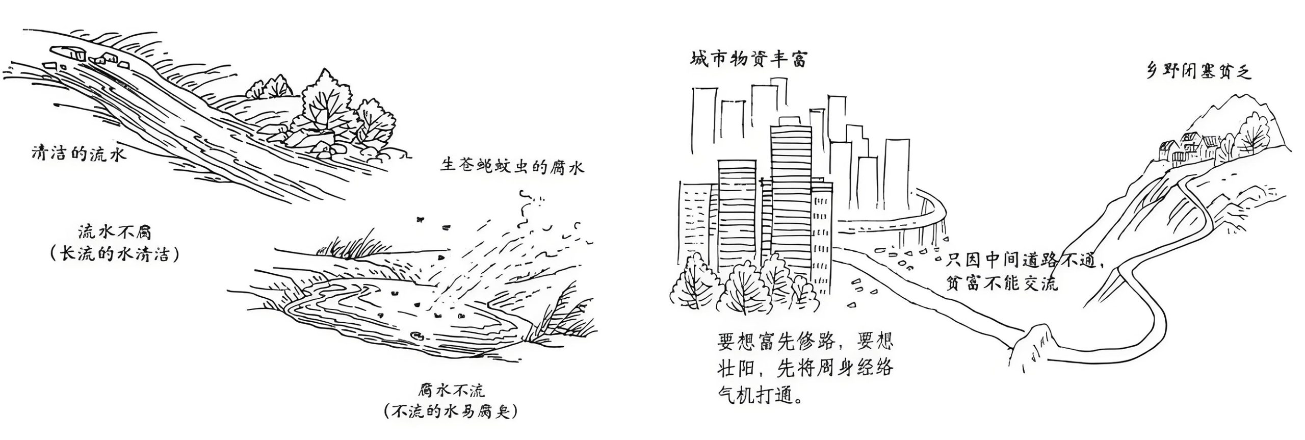 图片[4]-上焦心肺中的阴阳之道-善米