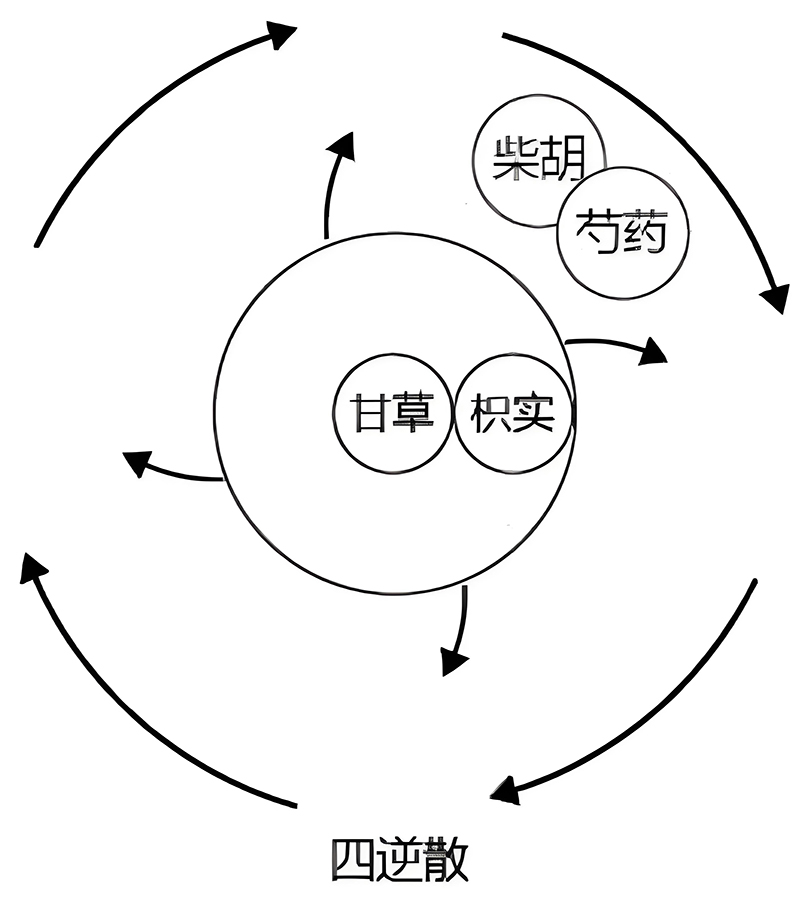 图片[1]-四逆散中的阴阳之道-善米