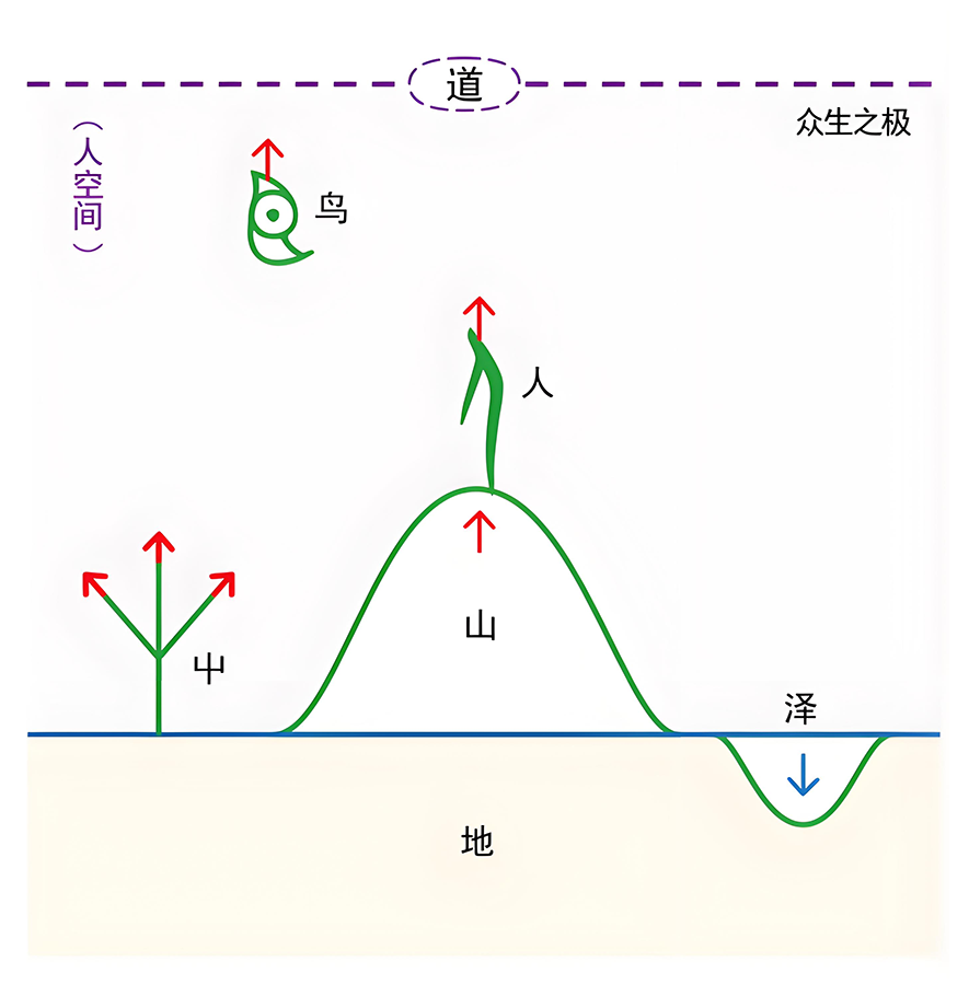 图片[3]-03人的最高点在哪里2（大、共、别）-善米