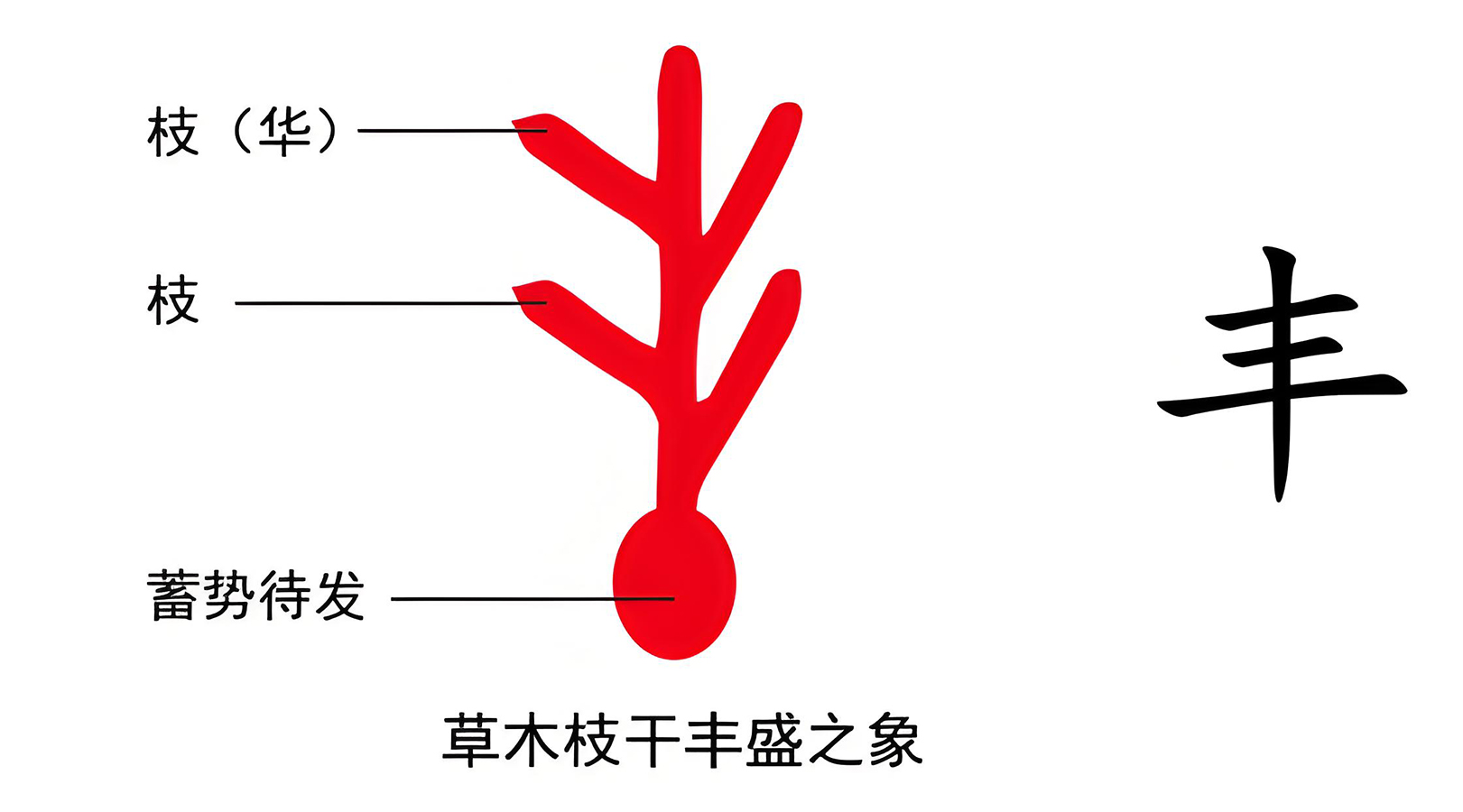 图片[4]-7人之四末（草、足、手）-善米