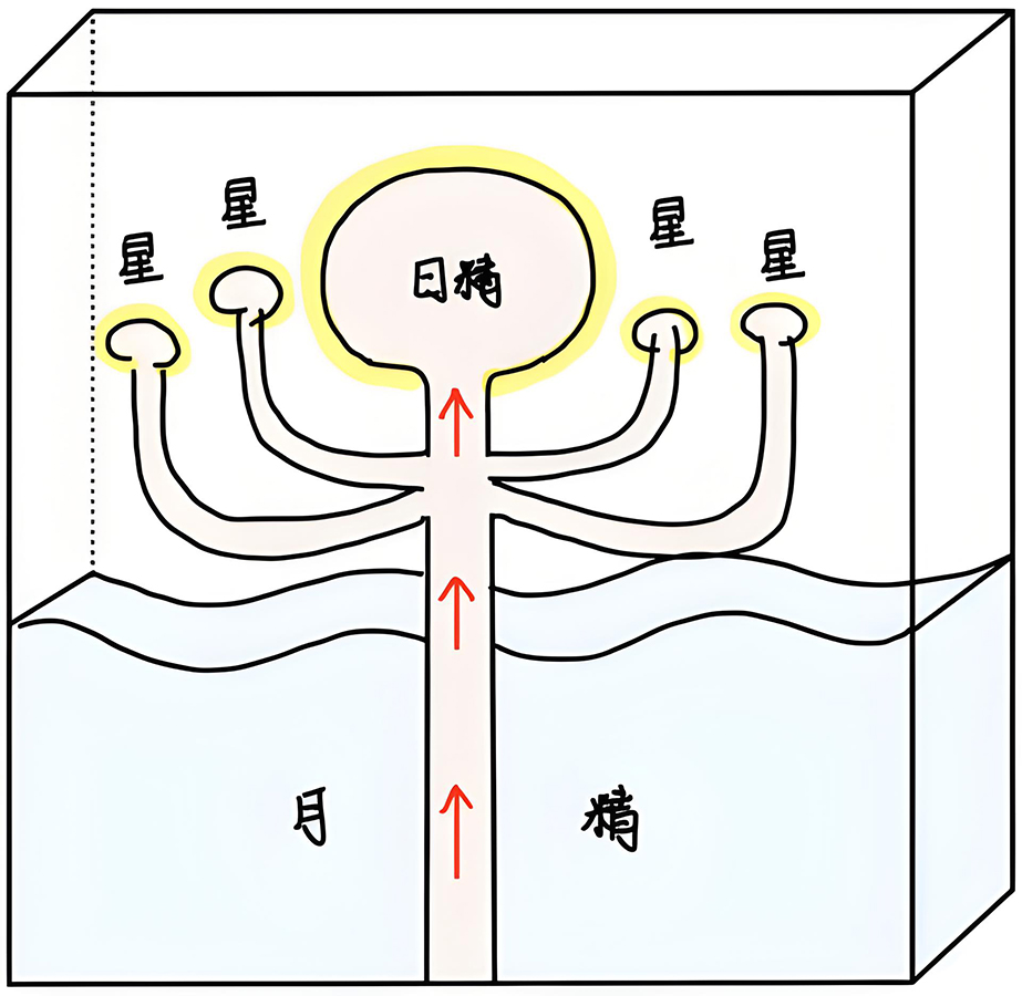 图片[1]-2星究竟代表什么-善米