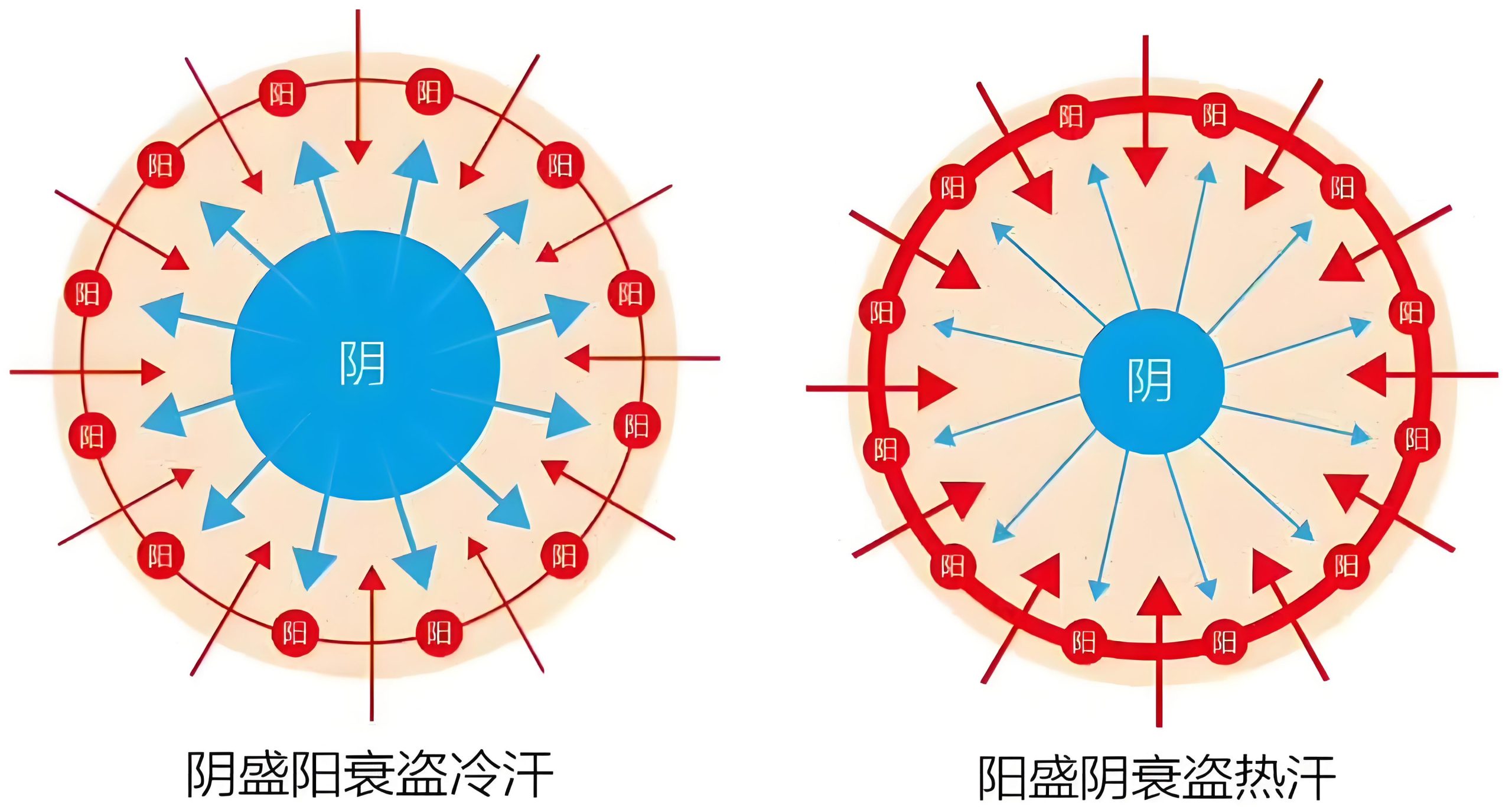 图片[3]-盗汗与自汗中的阴阳之道-善米