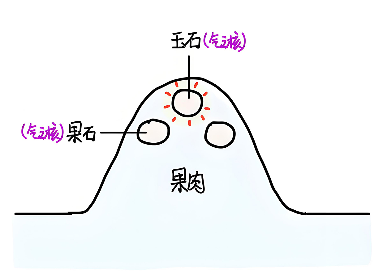 图片[5]-2天地之极与精-善米