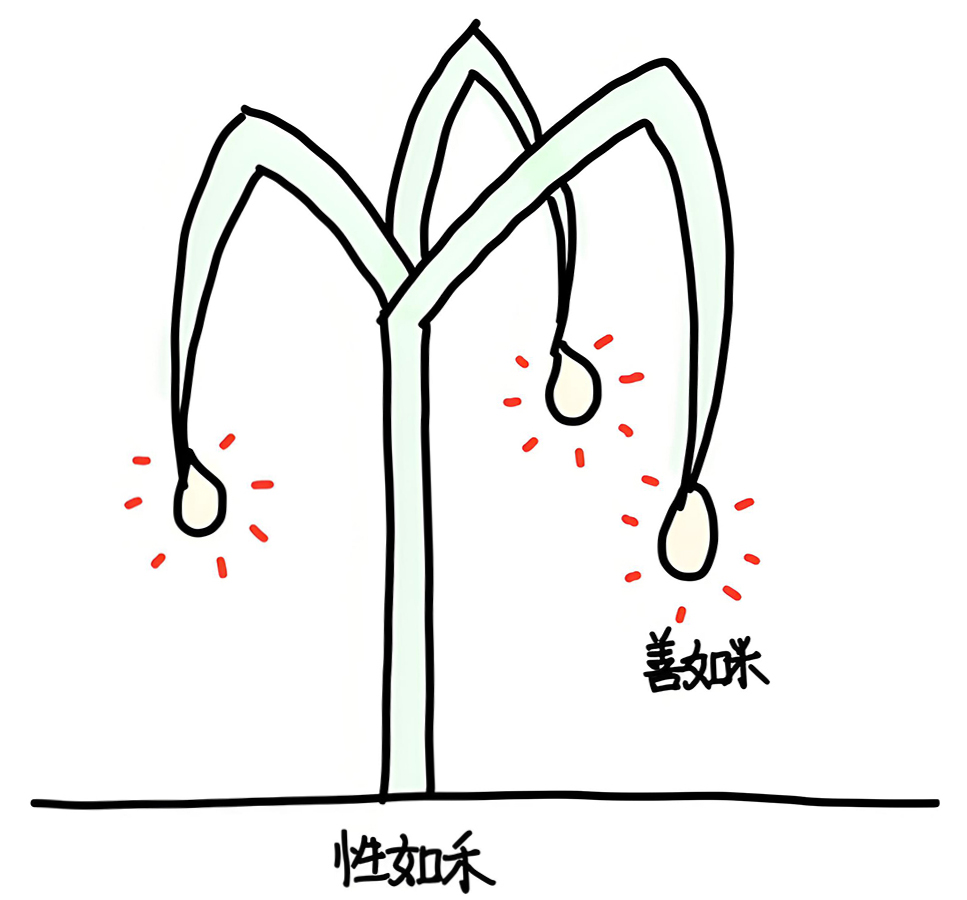 图片[1]-2性情的层次（性情与善恶）-善米