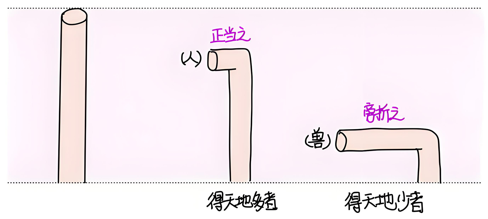 图片[5]-1五谷之美-善米