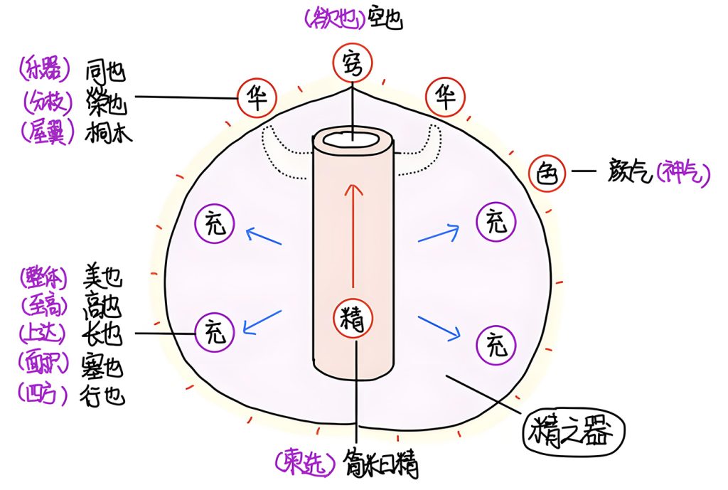 图片[1]-3五藏与华充-善米