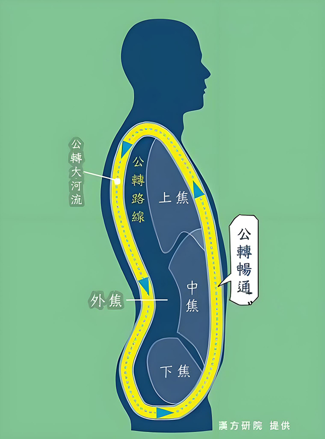 图片[3]-桂本伤寒论中的阴阳之道-善米