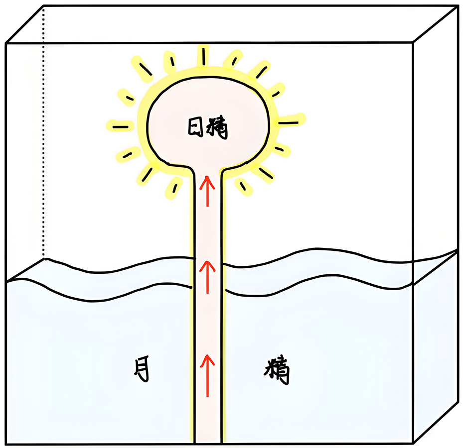 图片[2]-1日月究竟代表什么-善米