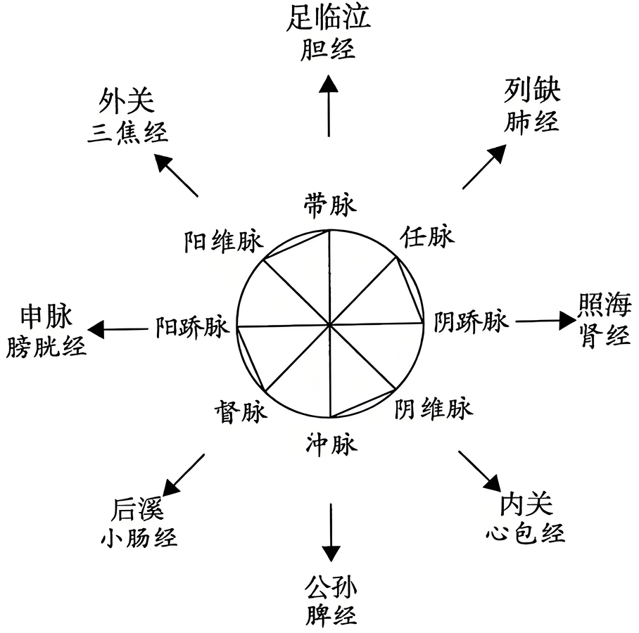 图片[1]-八脉交会穴中的阴阳之道-善米