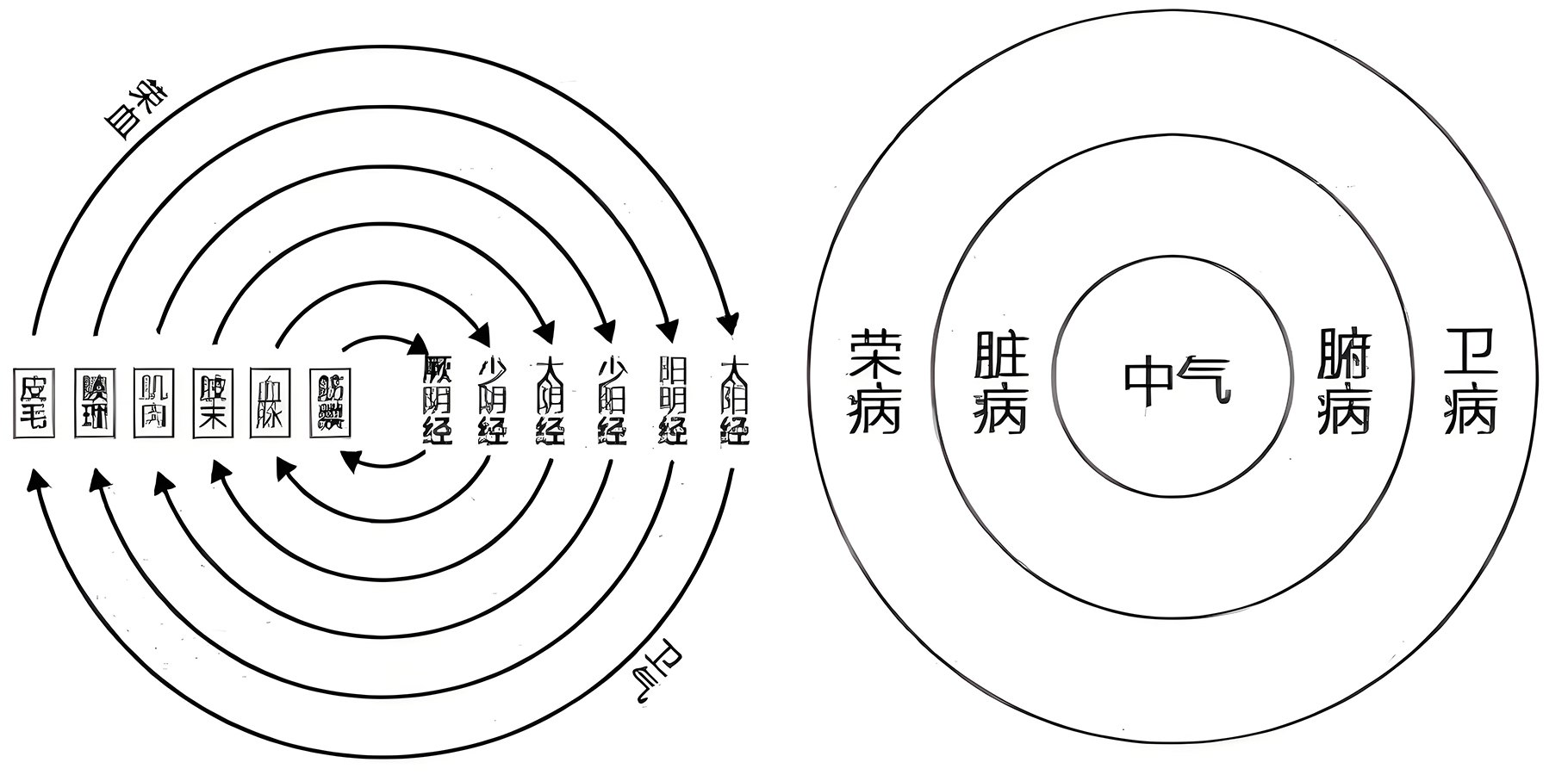 图片[2]-伤寒治水中的阴阳之道-善米