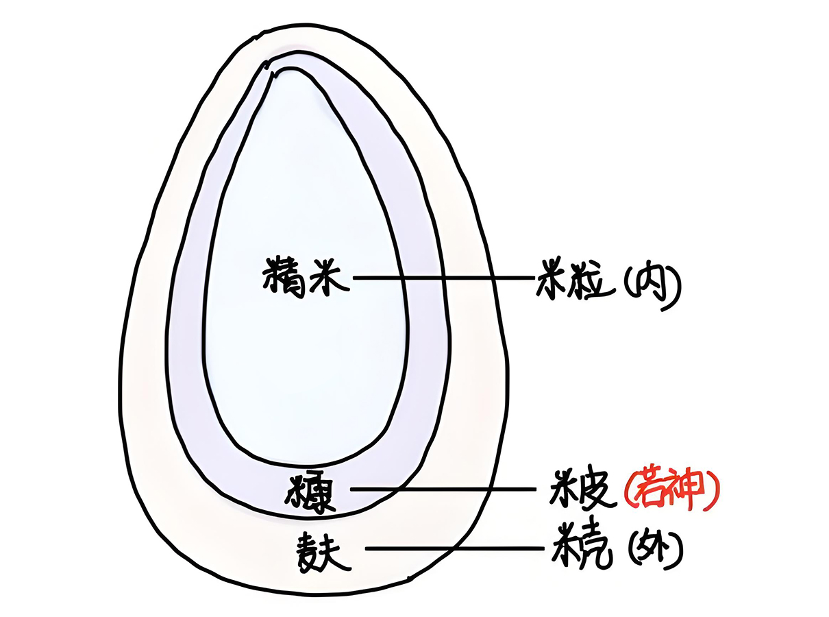 图片[1]-6什么是神明？-善米