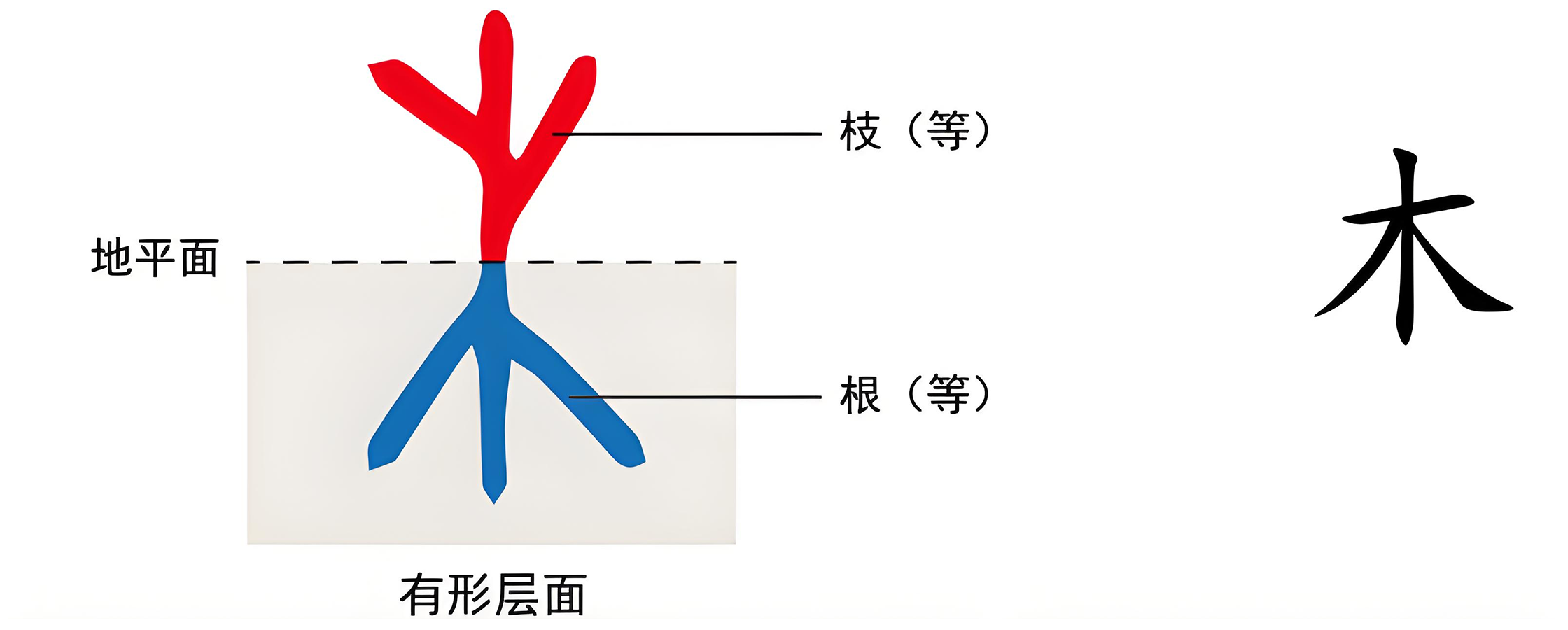 图片[1]-5人兽之别（木）-善米