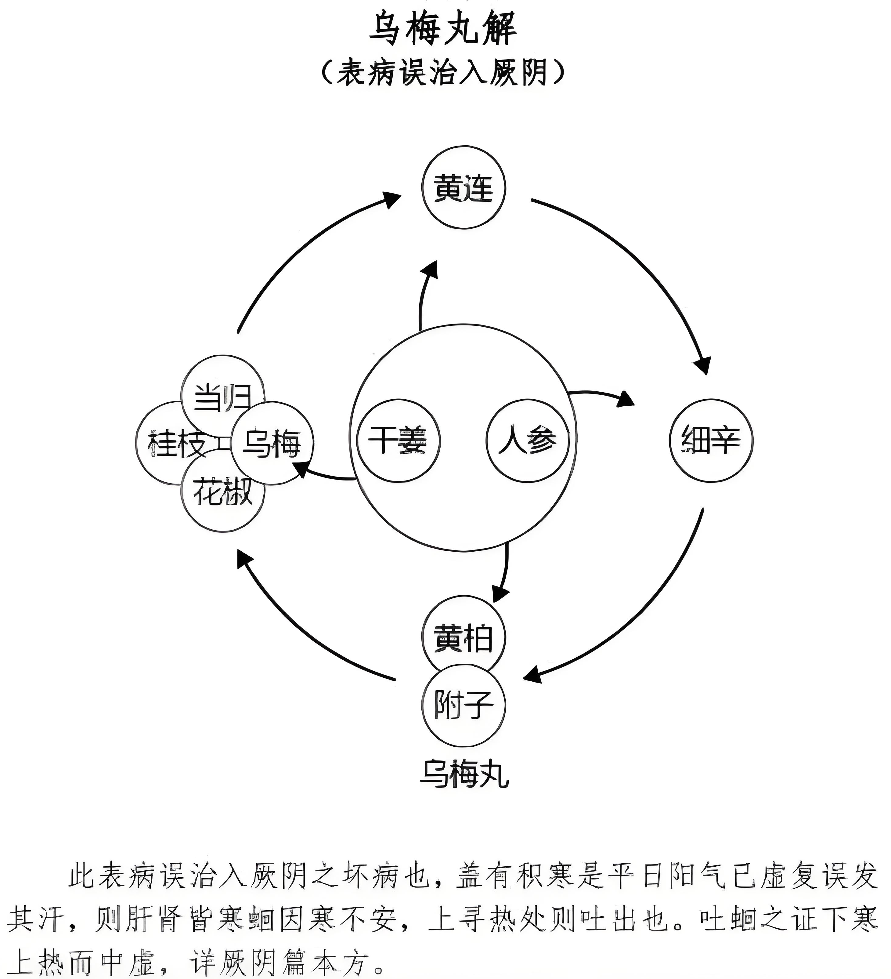 图片[3]-乌梅-善米