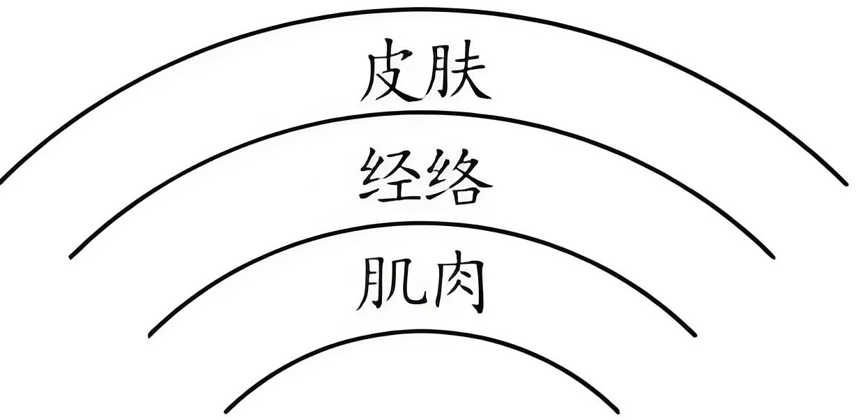 图片[1]-脉诊之部中的阴阳之道-善米