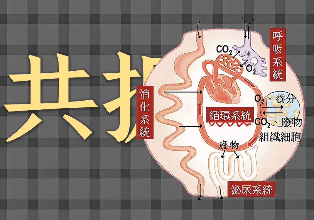 共振中的阴阳之道-善米