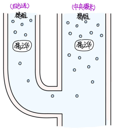 图片[2]-1枝茎与人有关系吗（桂、圭、茎、川、工）-善米