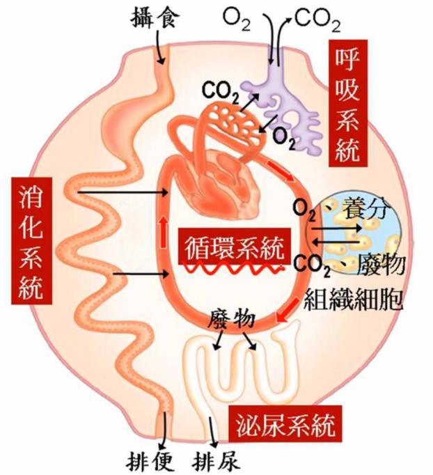 图片[1]-共振中的阴阳之道-善米