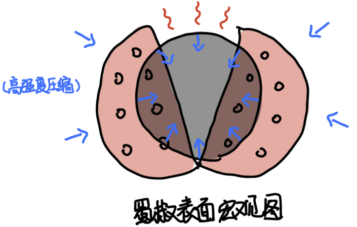 图片[2]-蜀椒1-善米