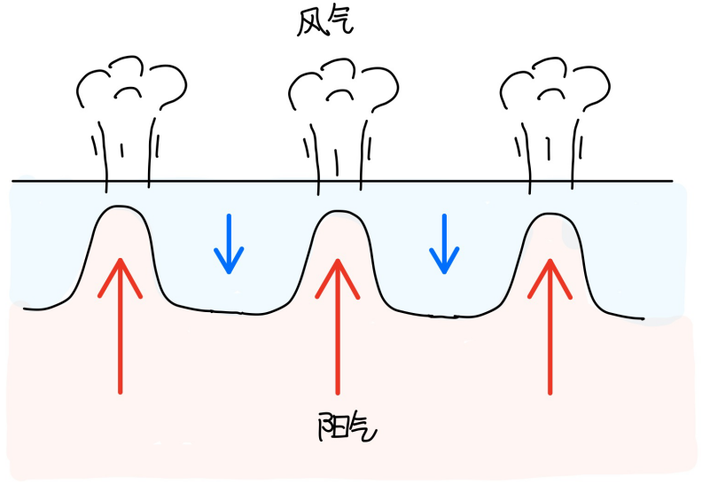 图片[1]-8花香与燥气-善米