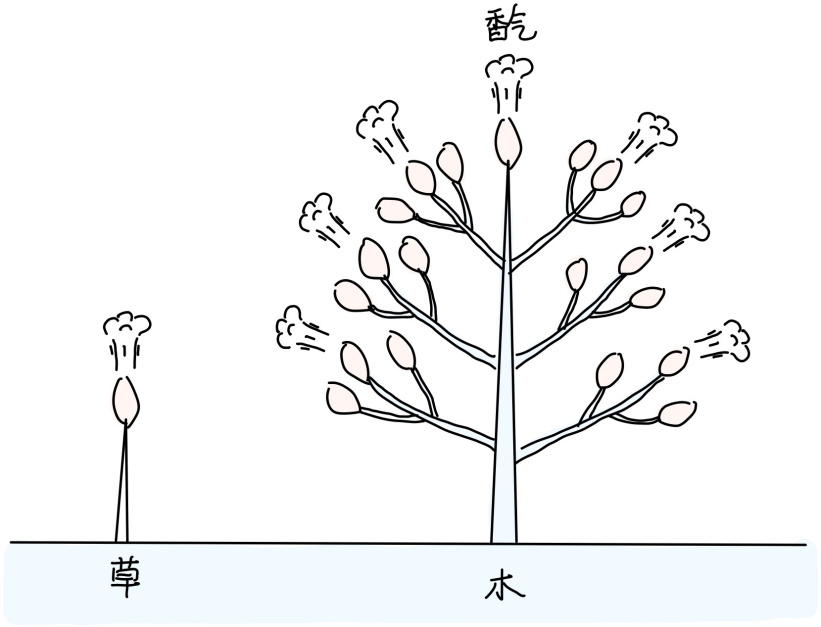 图片[2]-8花香与燥气-善米