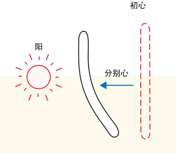 图片[1]-07什么是初心和分别心（丨、囟、退）-善米