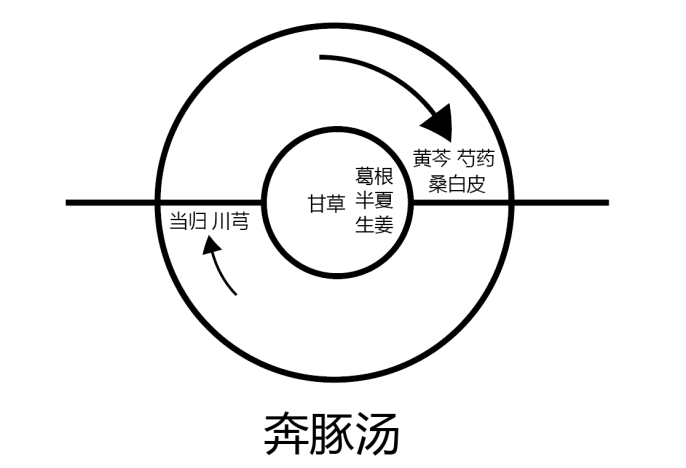 图片[2]-冲脉与奔豚中的阴阳之道-善米