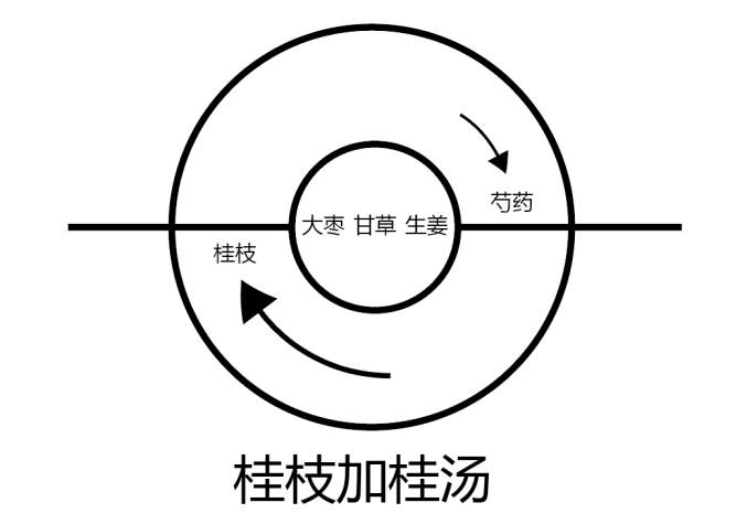 图片[3]-冲脉与奔豚中的阴阳之道-善米