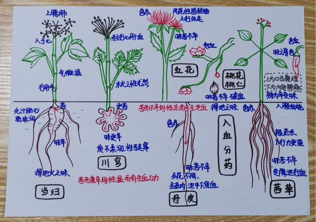 图片[1]-桃红四物汤-善米