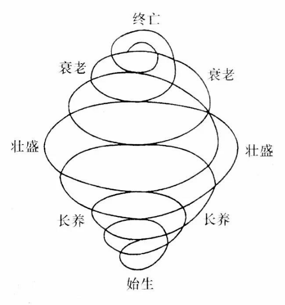 图片[13]-人体全息中的阴阳之道-善米