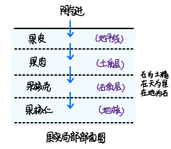 图片[1]-花生3-善米