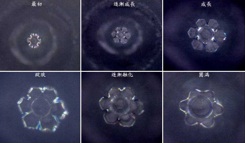 图片[1]-水结晶中的阴阳之道-善米