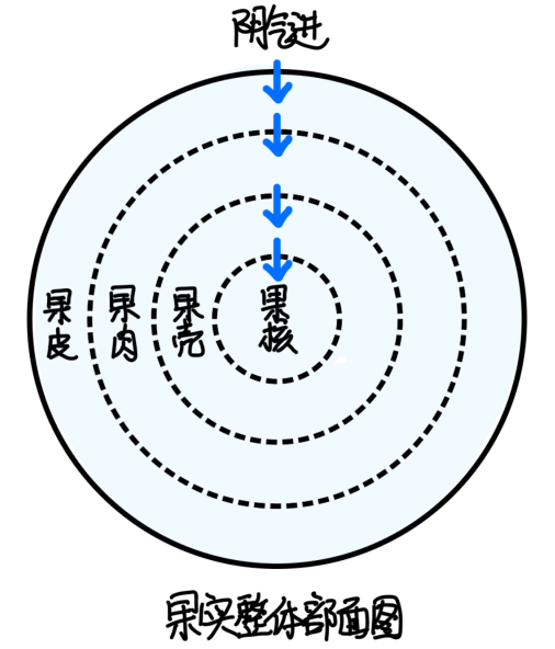 图片[2]-花生3-善米