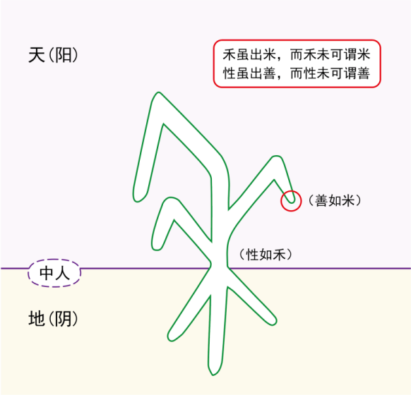 图片[4]-14性的最高点和最低点1（凶、吉、恶、善、禾、米）-善米