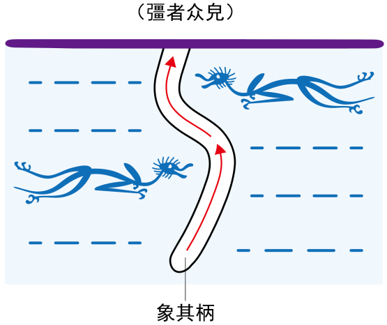 图片[4]-01古人是这样认识太阳的（易、日、一、勿、游、曳）-善米