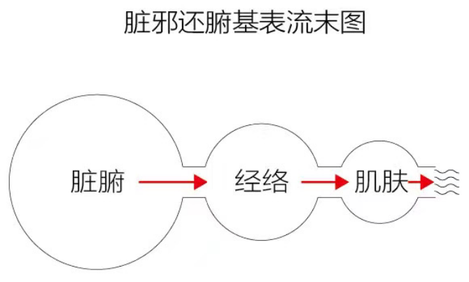 图片[2]-香菜-善米