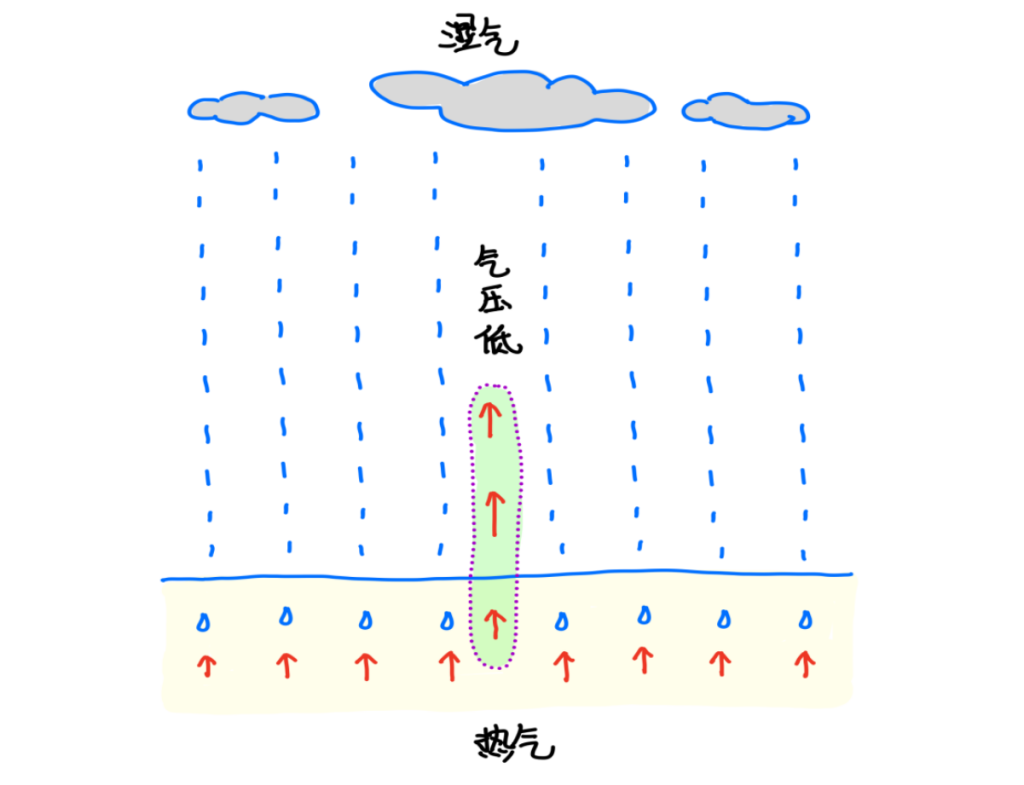 图片[1]-吴茱萸2-善米