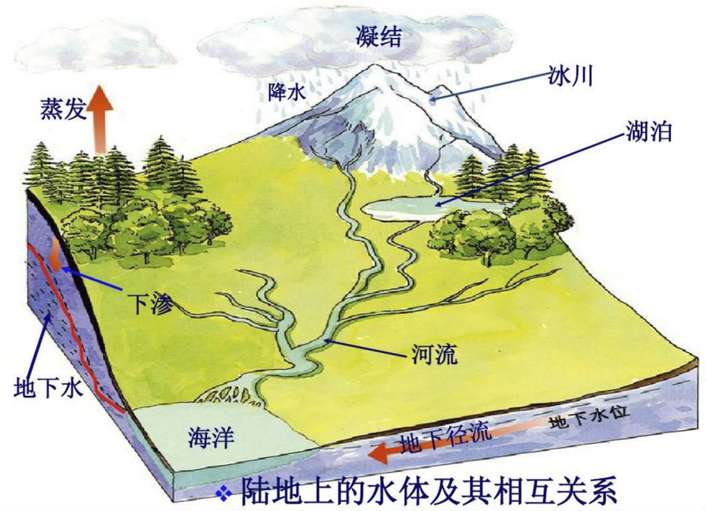 图片[1]-温胆汤1：糖尿病成因-善米