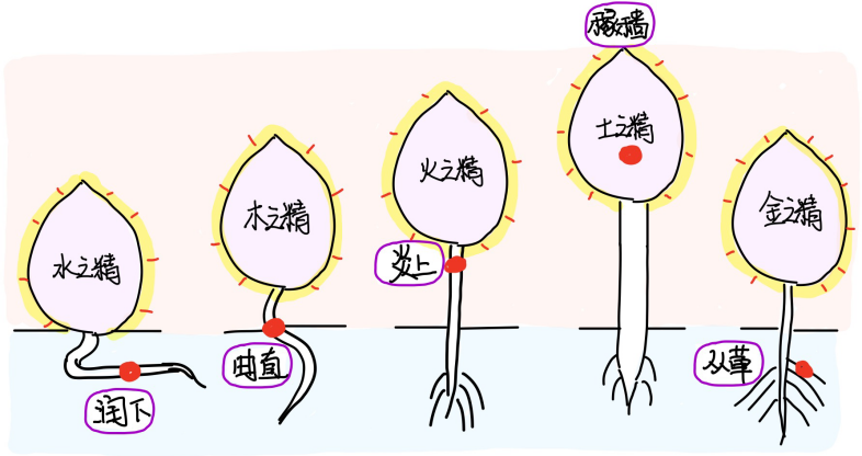 图片[1]-6草木之形-善米