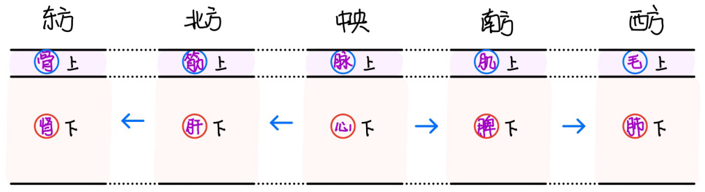 图片[2]-4五藏与五充-善米