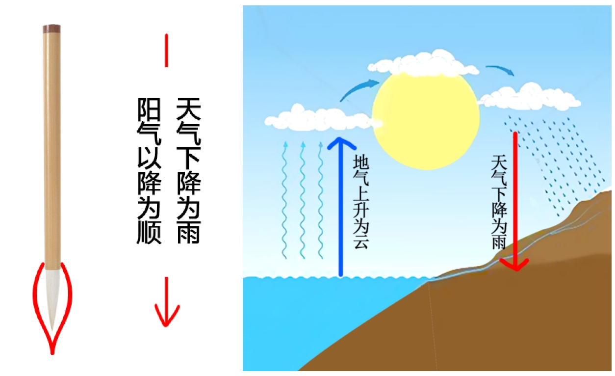 图片[1]-毛笔中的阴阳之道-善米