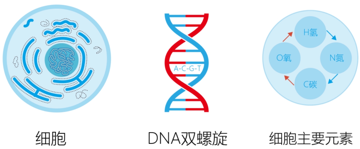 图片[1]-一粒尘土中的阴阳之道-善米