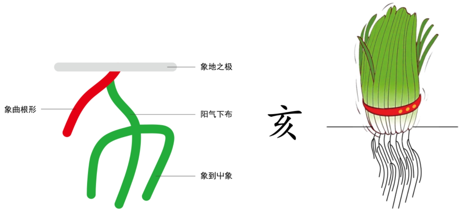 图片[1]-4根的压力有多大-善米