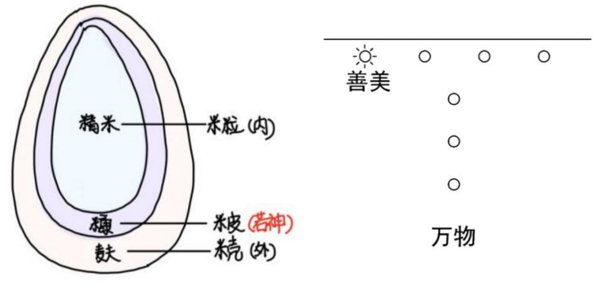 图片[2]-14米糠与六府-善米