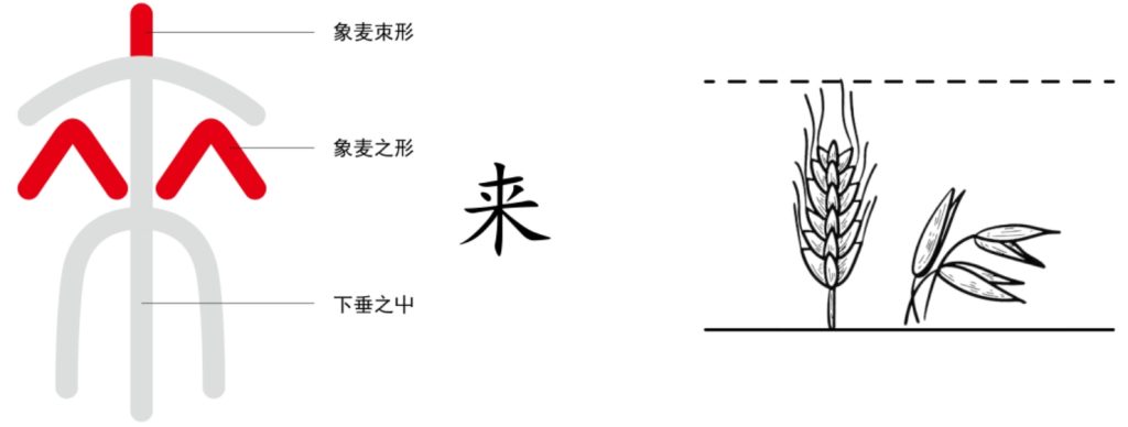 图片[7]-3道真的讲不清吗 下篇（毒、女、养、羊、覆、来、麦）-善米