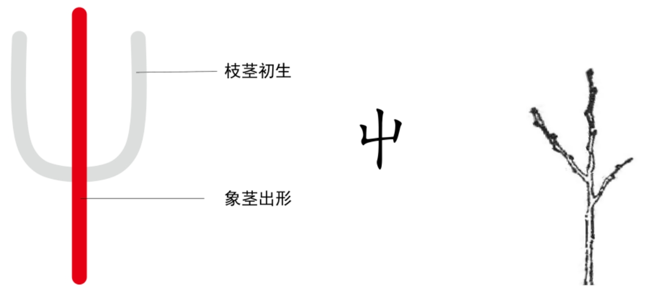 图片[2]-2万物之出（才、屮、☐、出）-善米