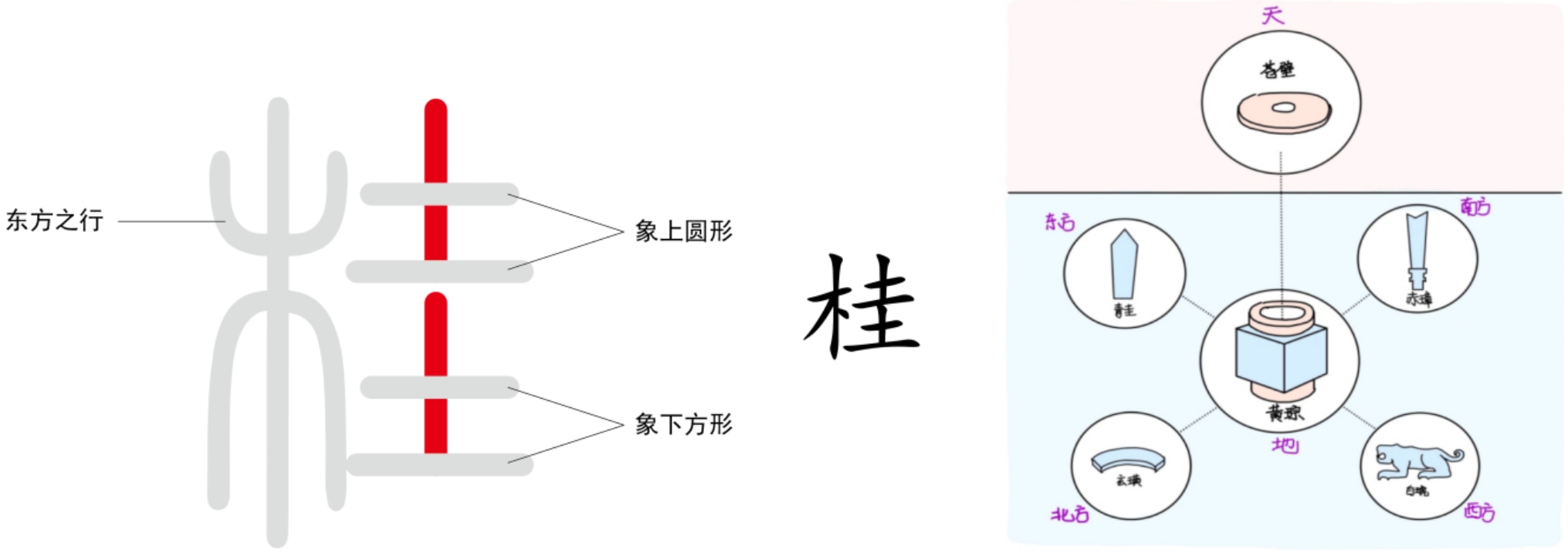 图片[1]-1枝茎与人有关系吗（桂、圭、茎、川、工）-善米