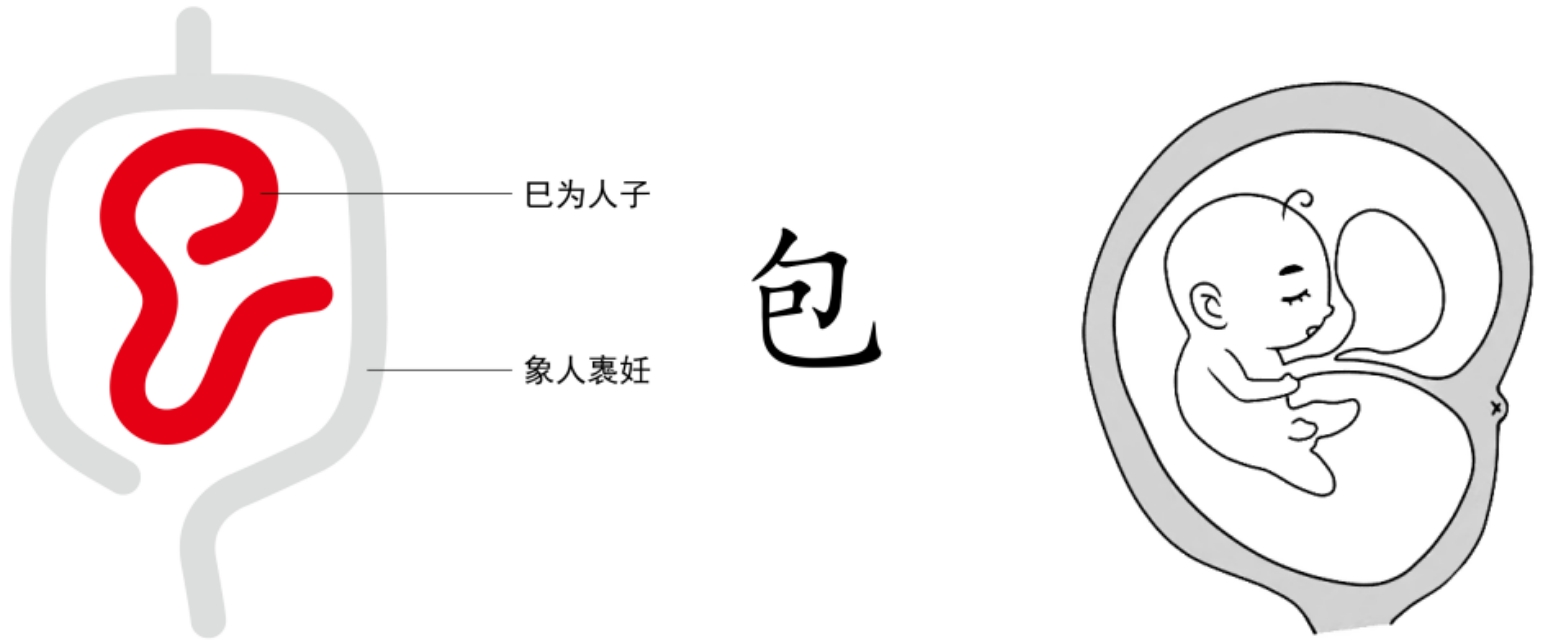 图片[2]-2能包裹万物之实的勺（勺、包）-善米