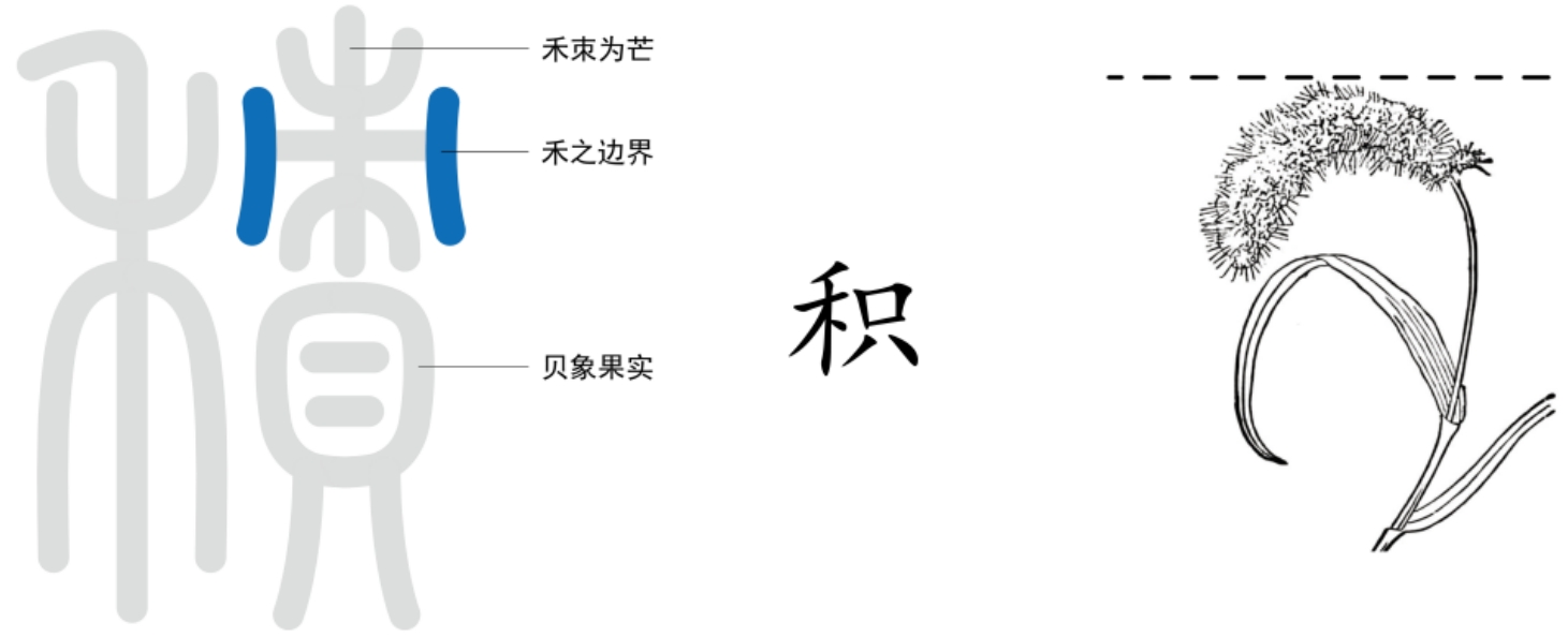 图片[3]-4秋之果（米、聚、积、会、闲、果）-善米