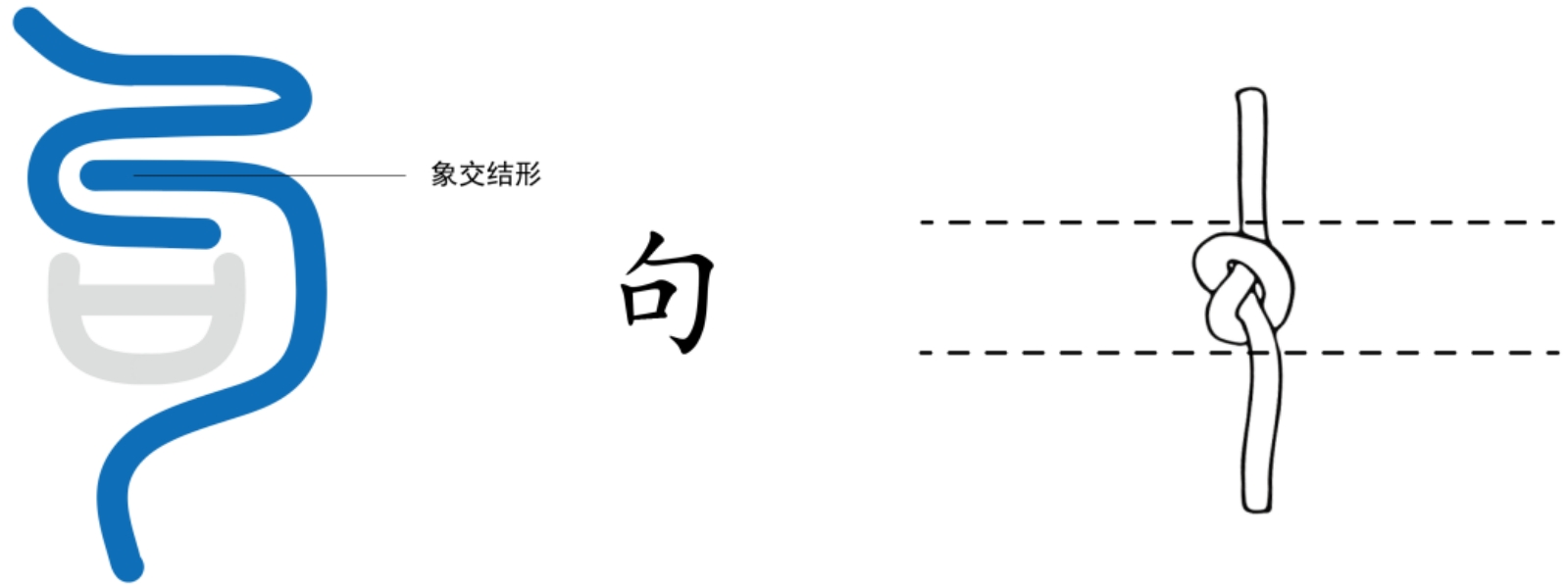 图片[5]-7器字中的犬是什么（器、犬、冂、儿、句）-善米