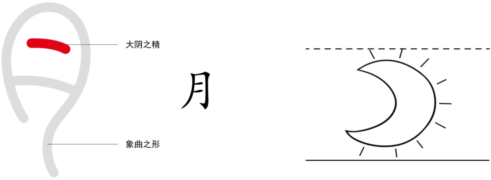 图片[1]-4什么是月之精（月、阙、两、重、𡈼）-善米